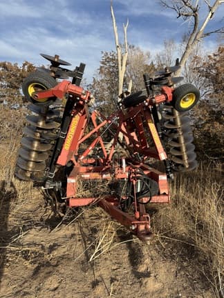 Image of Sunflower 1433-25 Primary image