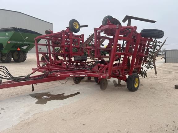 Image of Sunflower 3392-52 Primary image