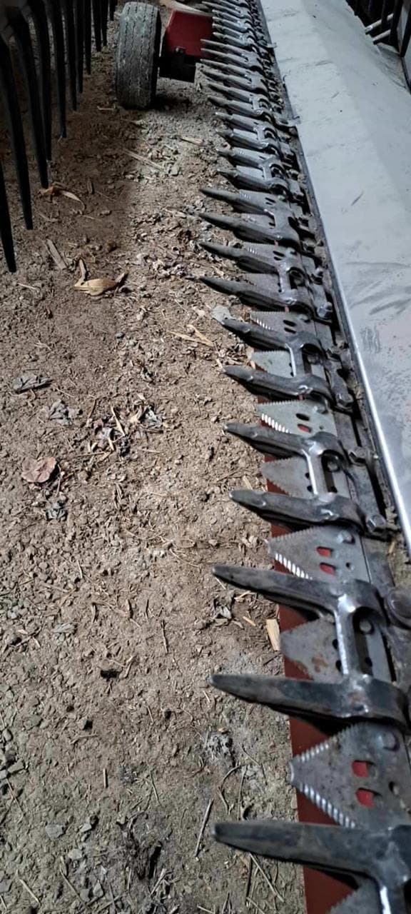 Image of Massey Ferguson 8000 equipment image 1