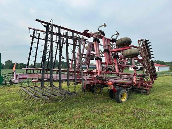 Image of Sunflower 6333 Primary image