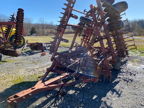 Image of Sunflower 6030 Primary image