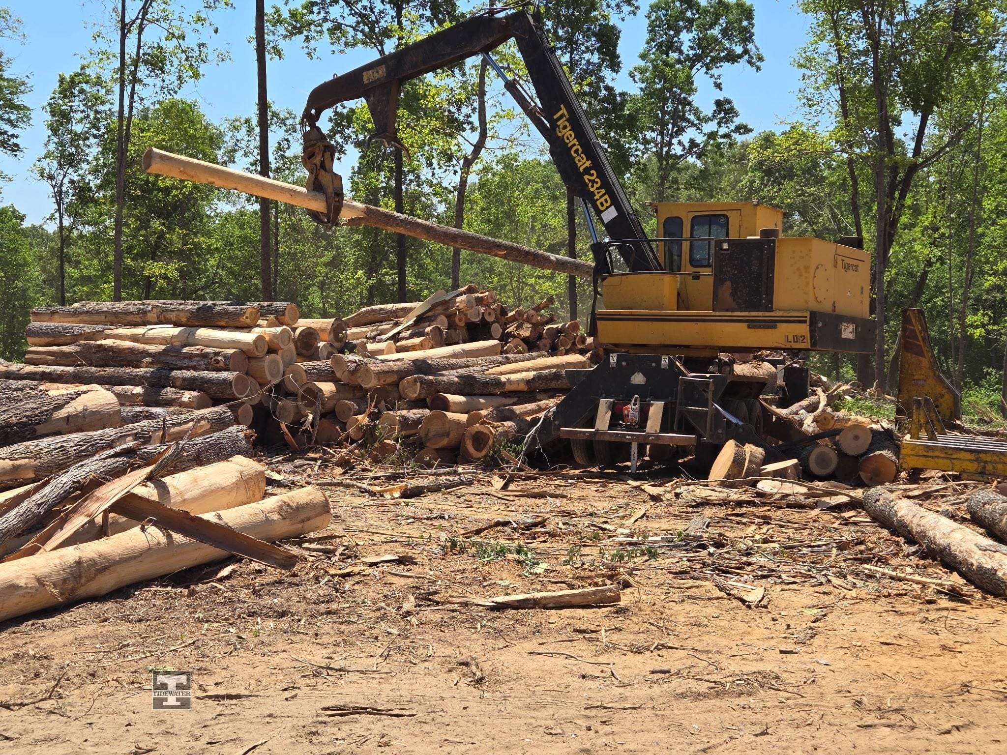 2016 Tigercat 234B Equipment Image0
