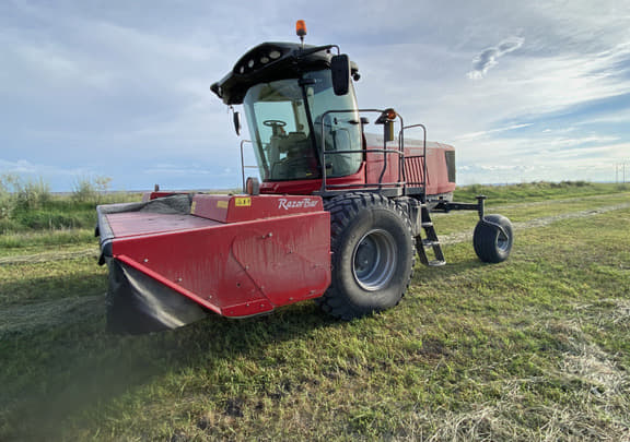 Image of Massey Ferguson WR9980 Primary image