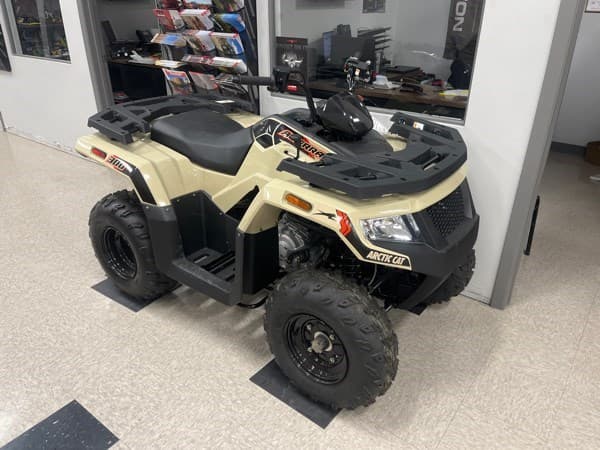 Image of Arctic Cat Alterra 300 Image 1