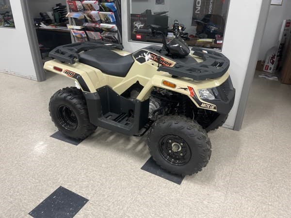 Image of Arctic Cat Alterra 300 Image 1